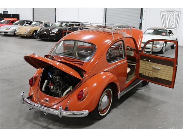 1965 Volkswagen Beetle (CC-2070657) for sale in Las Vegas, Nevada