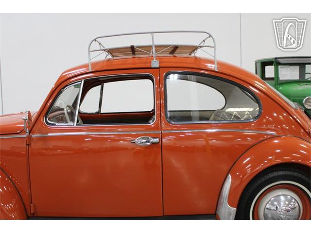 1965 Volkswagen Beetle (CC-2070657) for sale in Las Vegas, Nevada