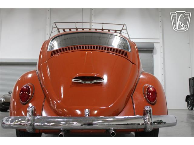 1965 Volkswagen Beetle (CC-2070657) for sale in Las Vegas, Nevada