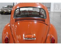 1965 Volkswagen Beetle (CC-2070657) for sale in Las Vegas, Nevada