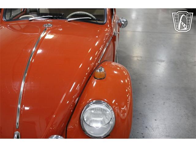 1965 Volkswagen Beetle (CC-2070657) for sale in Las Vegas, Nevada