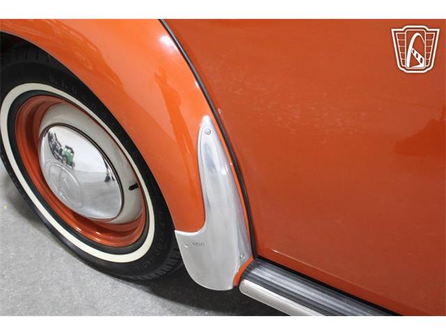 1965 Volkswagen Beetle (CC-2070657) for sale in Las Vegas, Nevada