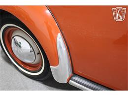 1965 Volkswagen Beetle (CC-2070657) for sale in Las Vegas, Nevada