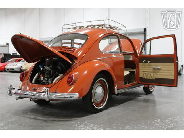 1965 Volkswagen Beetle (CC-2070657) for sale in Las Vegas, Nevada