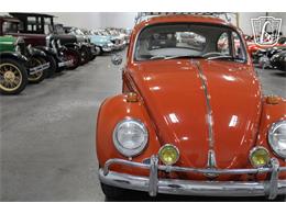 1965 Volkswagen Beetle (CC-2070657) for sale in Las Vegas, Nevada