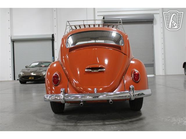 1965 Volkswagen Beetle (CC-2070657) for sale in Las Vegas, Nevada
