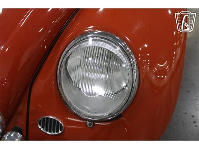 1965 Volkswagen Beetle (CC-2070657) for sale in Las Vegas, Nevada