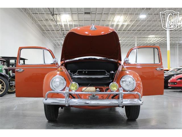 1965 Volkswagen Beetle (CC-2070657) for sale in Las Vegas, Nevada