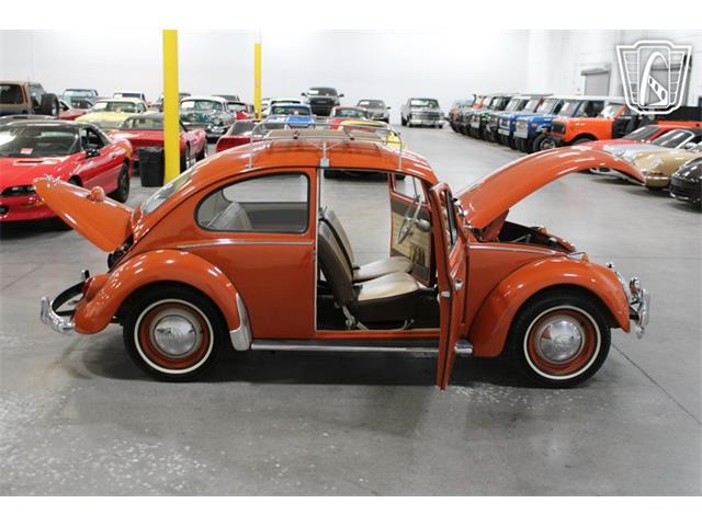 1965 Volkswagen Beetle (CC-2070657) for sale in Las Vegas, Nevada