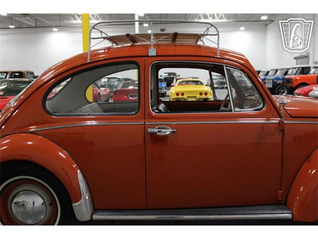 1965 Volkswagen Beetle (CC-2070657) for sale in Las Vegas, Nevada