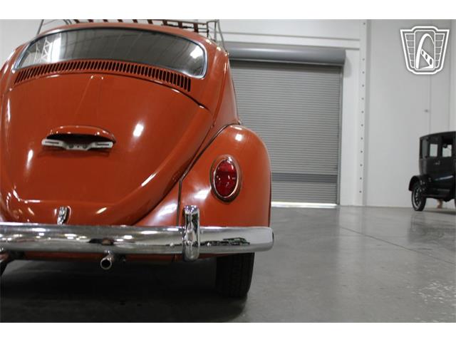 1965 Volkswagen Beetle (CC-2070657) for sale in Las Vegas, Nevada