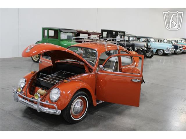 1965 Volkswagen Beetle (CC-2070657) for sale in Las Vegas, Nevada