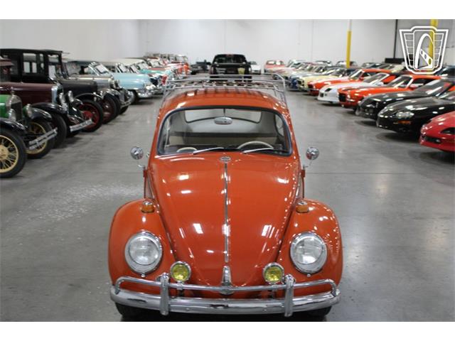 1965 Volkswagen Beetle (CC-2070657) for sale in Las Vegas, Nevada