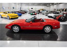 1989 Chevrolet Corvette (CC-2076579) for sale in Ocala, Florida