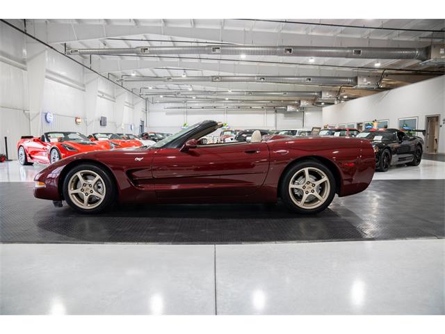 2003 Chevrolet Corvette (CC-2076608) for sale in Ocala, Florida