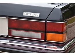 1996 Rolls-Royce Silver Spur (CC-2076625) for sale in Gurnee, Illinois