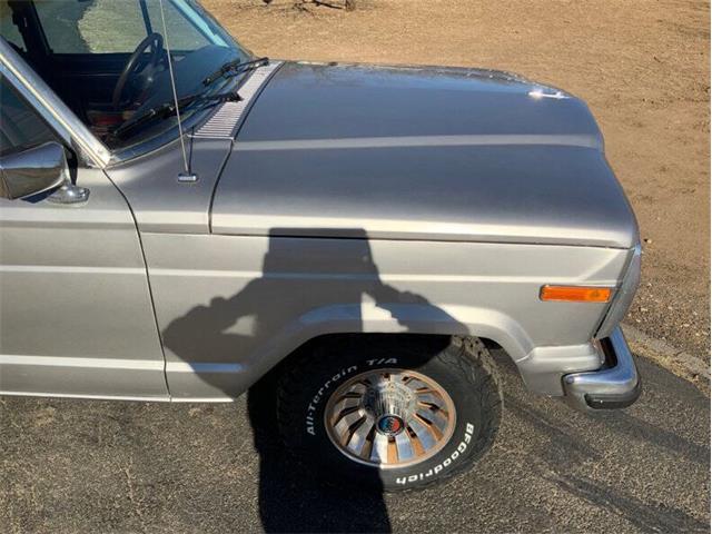 1987 Jeep Grand Wagoneer (CC-2070663) for sale in Fredericksburg, Texas