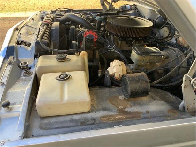1987 Jeep Grand Wagoneer (CC-2070663) for sale in Fredericksburg, Texas