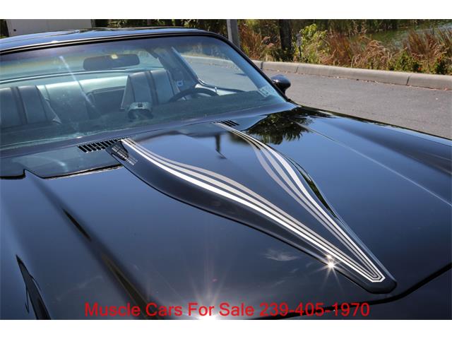 1981 Chevrolet Camaro (CC-2076657) for sale in Fort Myers, Florida