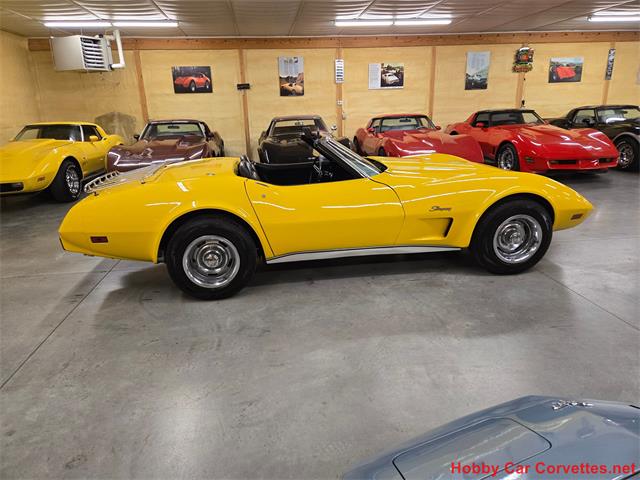 1975 Chevrolet Corvette (CC-2076679) for sale in MARTINSBURG, Pennsylvania
