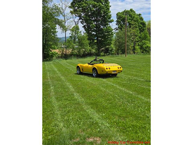 1975 Chevrolet Corvette (CC-2076679) for sale in MARTINSBURG, Pennsylvania