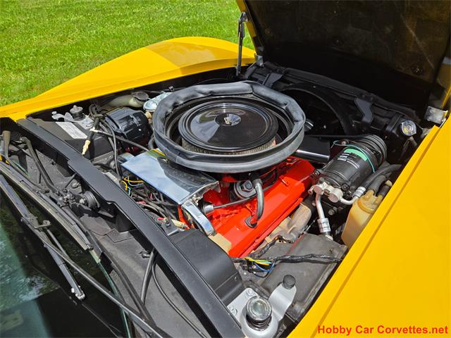 1975 Chevrolet Corvette (CC-2076679) for sale in MARTINSBURG, Pennsylvania