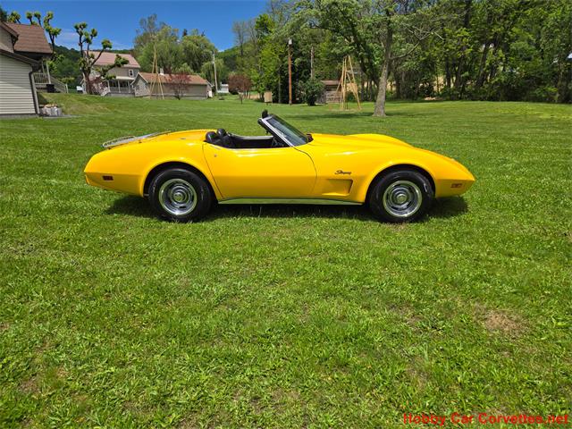 1975 Chevrolet Corvette (CC-2076679) for sale in MARTINSBURG, Pennsylvania