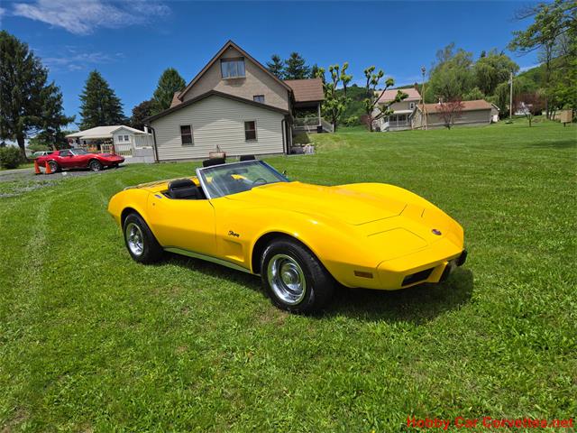 1975 Chevrolet Corvette (CC-2076679) for sale in MARTINSBURG, Pennsylvania