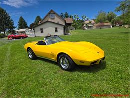 1975 Chevrolet Corvette (CC-2076679) for sale in MARTINSBURG, Pennsylvania
