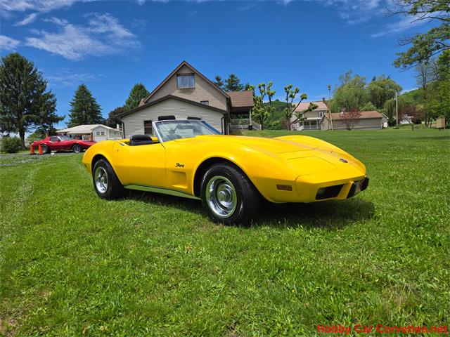 1975 Chevrolet Corvette (CC-2076679) for sale in MARTINSBURG, Pennsylvania