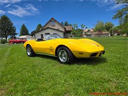 1975 Chevrolet Corvette (CC-2076679) for sale in MARTINSBURG, Pennsylvania
