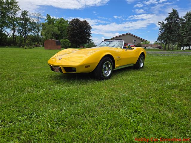 1975 Chevrolet Corvette (CC-2076679) for sale in MARTINSBURG, Pennsylvania