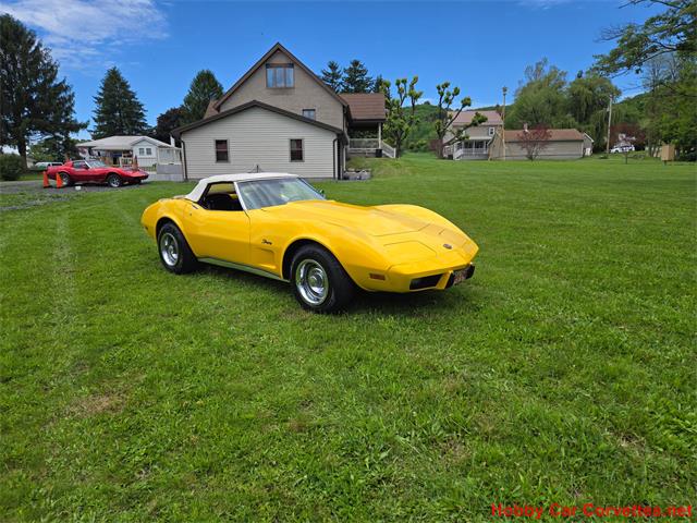 1975 Chevrolet Corvette (CC-2076679) for sale in MARTINSBURG, Pennsylvania