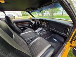 1971 Ford Mustang Mach 1 (CC-2076698) for sale in Waconia , Minnesota