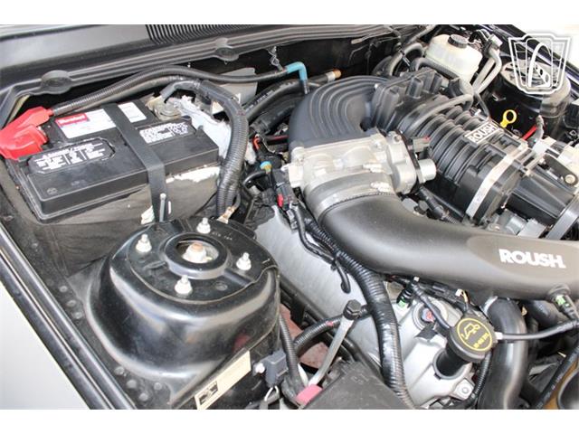 2007 Ford Mustang (CC-2076720) for sale in Houston, Texas