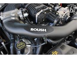 2007 Ford Mustang (CC-2076720) for sale in Houston, Texas