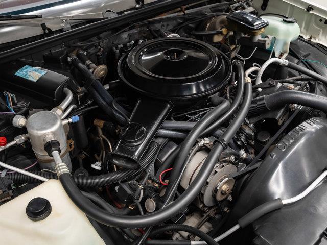 1984 Chevrolet El Camino SS (CC-2076744) for sale in Sherwood Park, Alberta