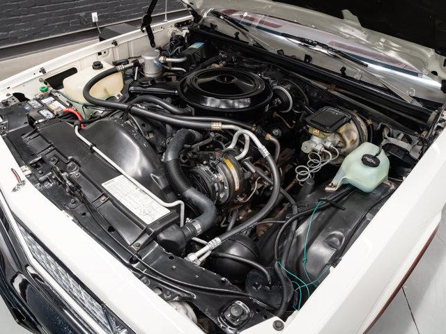 1984 Chevrolet El Camino SS (CC-2076744) for sale in Sherwood Park, Alberta