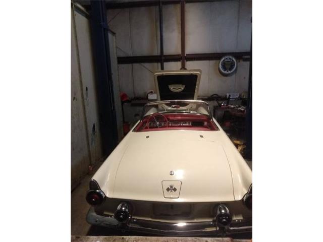 1955 Ford Thunderbird (CC-2076776) for sale in Cadillac, Michigan