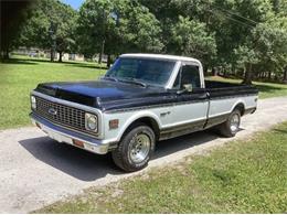1972 Chevrolet Highlander (CC-2076784) for sale in Cadillac, Michigan