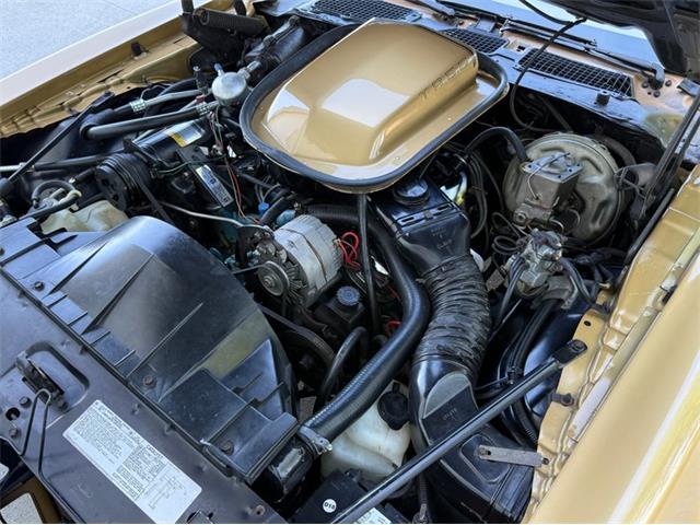 1978 Pontiac Firebird Trans Am (CC-2076793) for sale in Lincoln, Nebraska