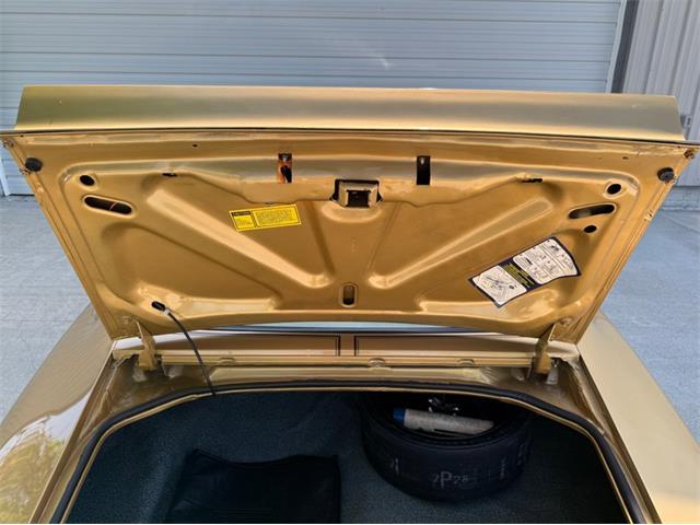 1978 Pontiac Firebird Trans Am (CC-2076793) for sale in Lincoln, Nebraska