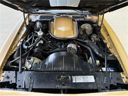1978 Pontiac Firebird Trans Am (CC-2076793) for sale in Lincoln, Nebraska