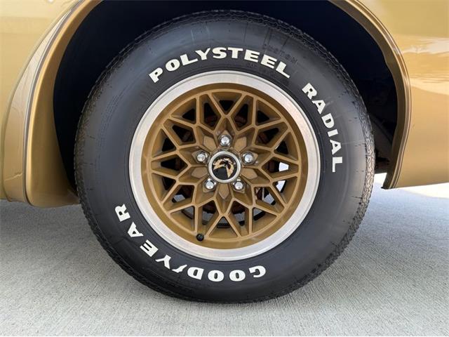 1978 Pontiac Firebird Trans Am (CC-2076793) for sale in Lincoln, Nebraska