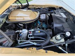 1978 Pontiac Firebird Trans Am (CC-2076793) for sale in Lincoln, Nebraska