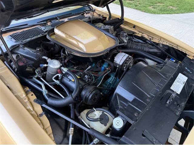 1978 Pontiac Firebird Trans Am (CC-2076793) for sale in Lincoln, Nebraska