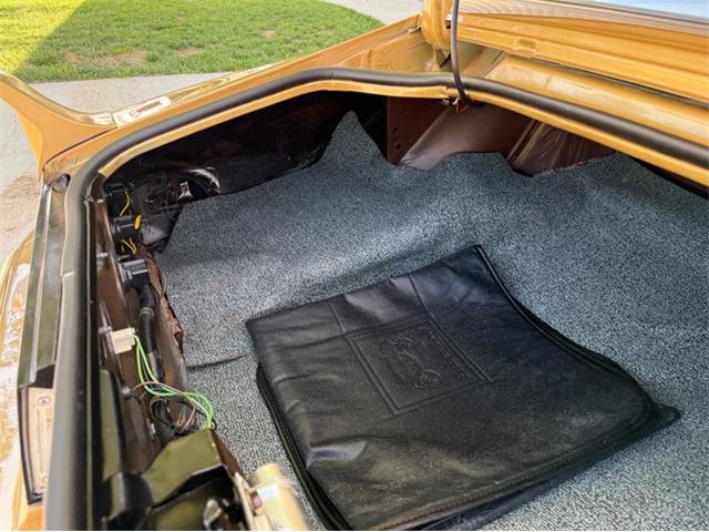 1978 Pontiac Firebird Trans Am (CC-2076793) for sale in Lincoln, Nebraska