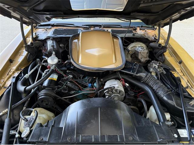 1978 Pontiac Firebird Trans Am (CC-2076793) for sale in Lincoln, Nebraska