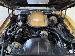 1978 Pontiac Firebird Trans Am (CC-2076793) for sale in Lincoln, Nebraska