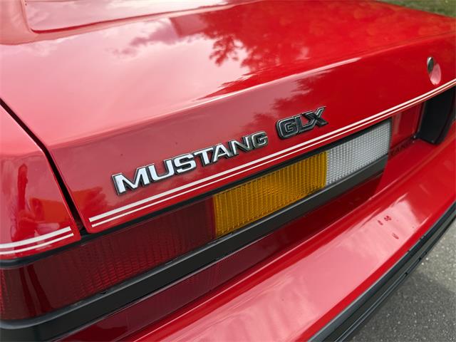 1983 Ford Mustang (CC-2076794) for sale in Milford City, Connecticut